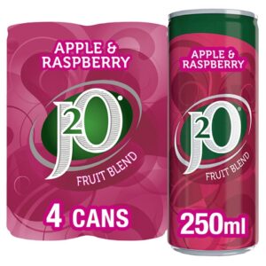 J 20 J 2 O Apple Raspberry Cans 4 X 250 Ml