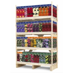 Rose Bush Pauls Scarlet Climbing Fragrant Bare Rooted Garden Plant S 250 Cm